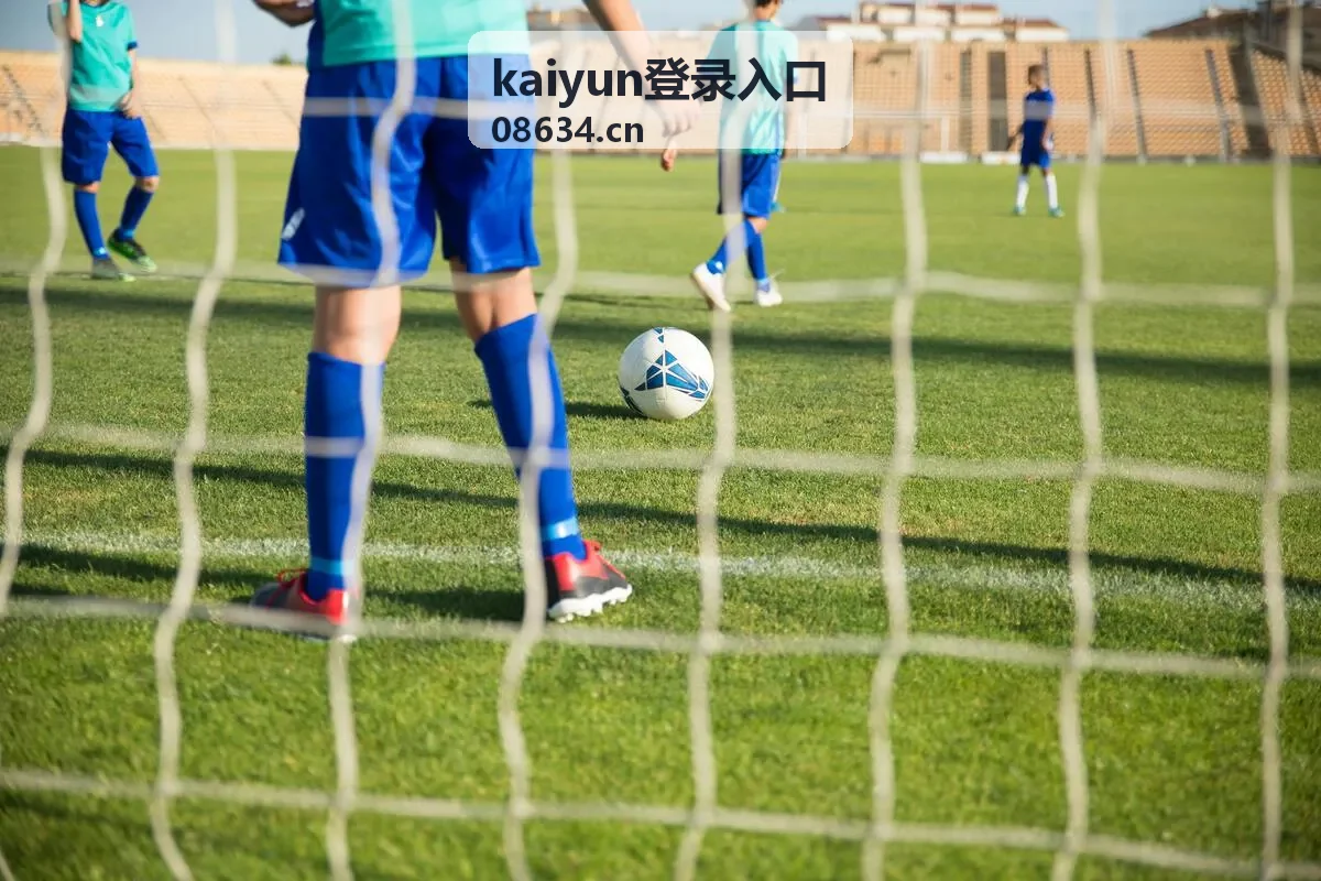 kaiyun登录入口操作流程示意图