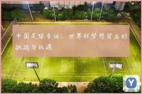 中国足球专访：世界杯梦想背后的挑战与机遇