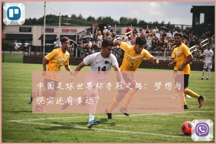 中国足球世界杯夺冠之路：梦想与现实还有多远？