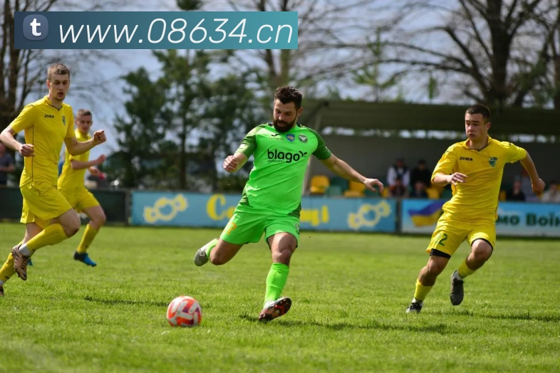 mk体育网址平台生态图